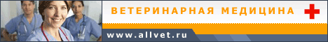 Ветеринарная медицина